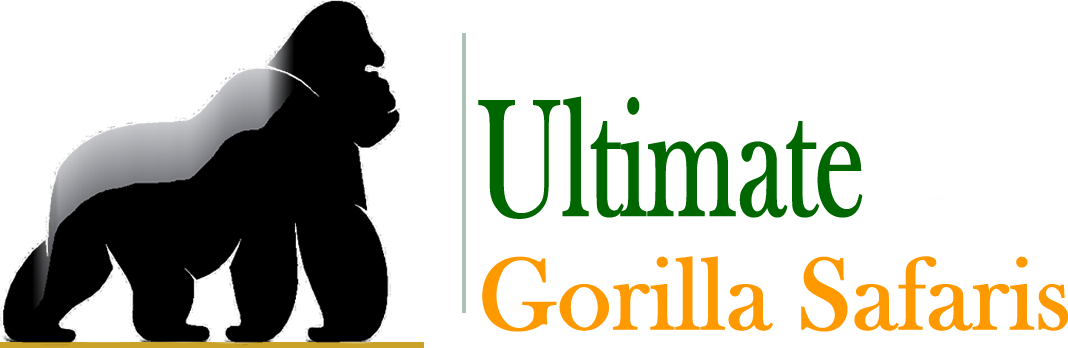 Ultimate Gorilla Safaris